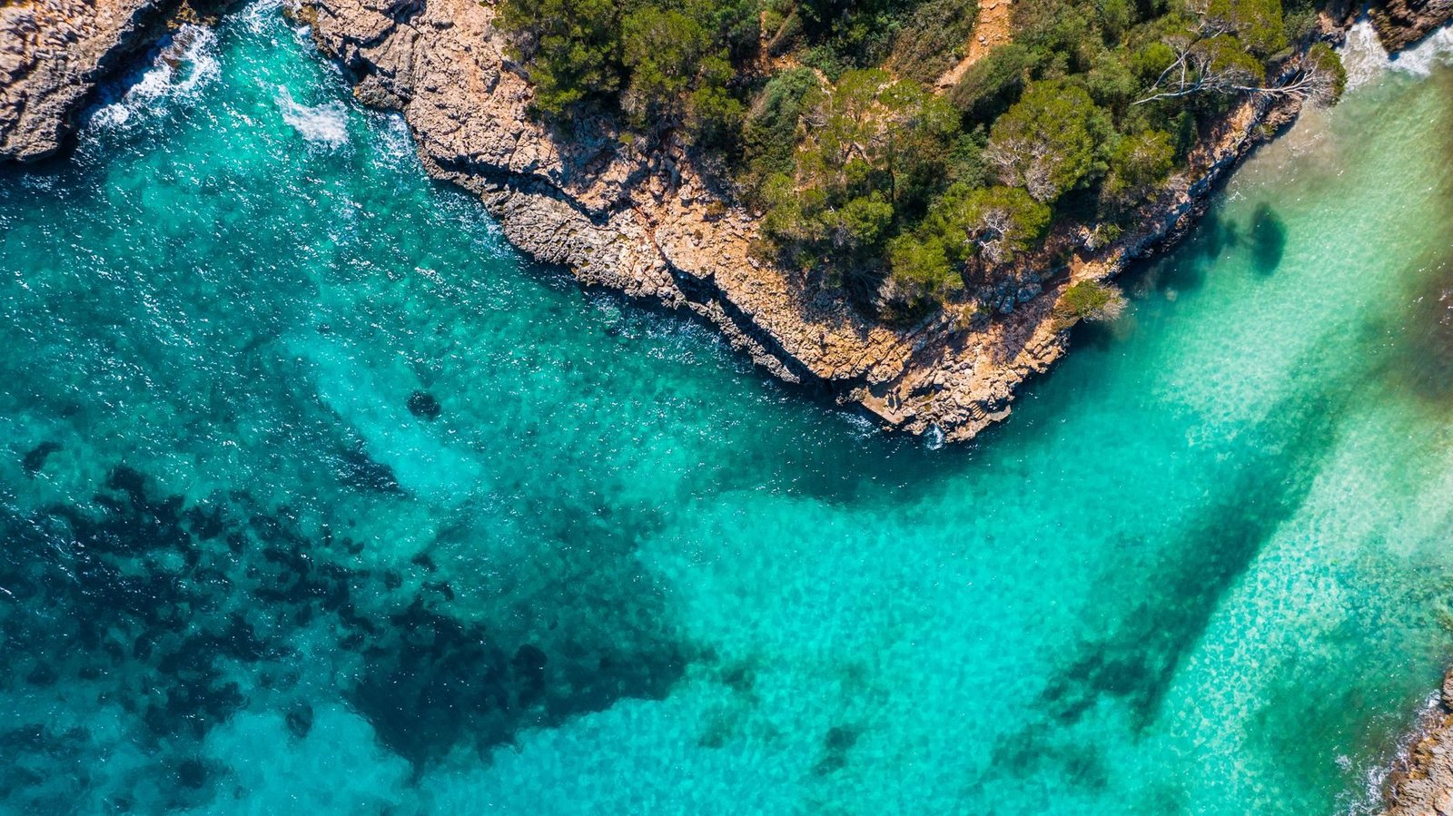 Reisetrends Balearen: Mallorca-Urlaub der Deutschen
